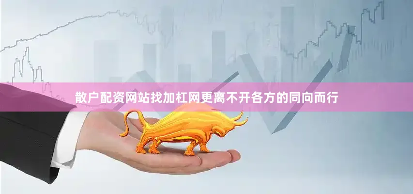 散户配资网站找加杠网更离不开各方的同向而行