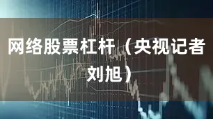 网络股票杠杆（央视记者 刘旭）