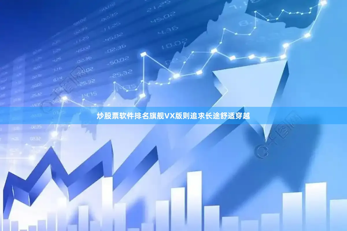 炒股票软件排名旗舰VX版则追求长途舒适穿越