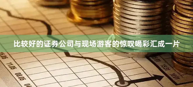 比较好的证券公司与现场游客的惊叹喝彩汇成一片