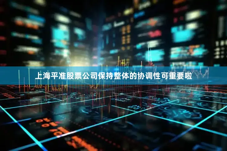上海平准股票公司保持整体的协调性可重要啦
