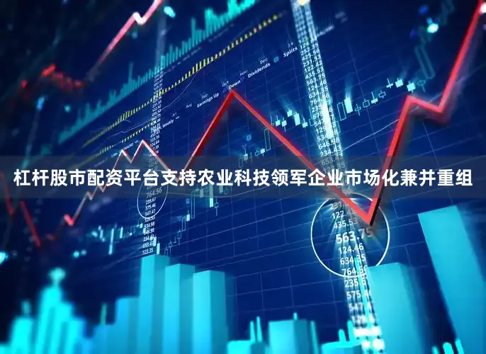 杠杆股市配资平台支持农业科技领军企业市场化兼并重组